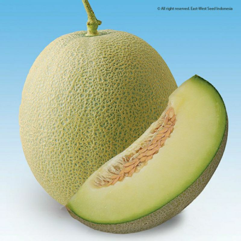 

5 biji benih melon rasa manis repacking