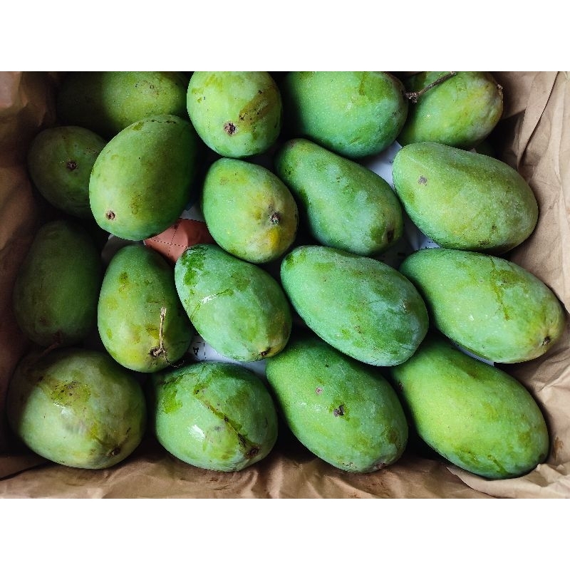 

Mangga Harumanis standart 500gr 1kg promo buah jambi | Juraganbuahjambi