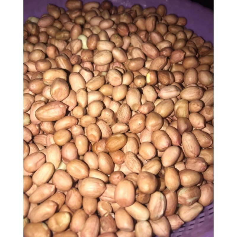 

Kacang tanah utuh