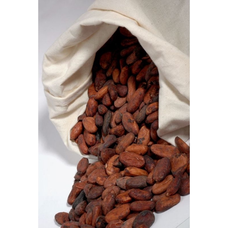 

RAW Cocoa Bean / Biji Kakao / Biji Cokelat fermented - 100gr