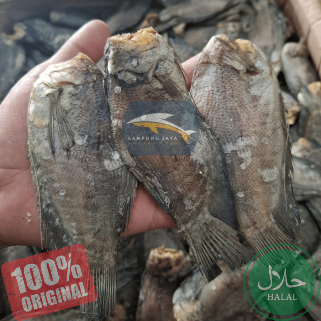 

{BISA COD} 250 GRAM IKAN ASIN SEPAT KERING KALIMANTAN BERKUALITAS - HARGA GUDANG MURAH, DISTRIBUTOR PERTAMA DARI PETANI