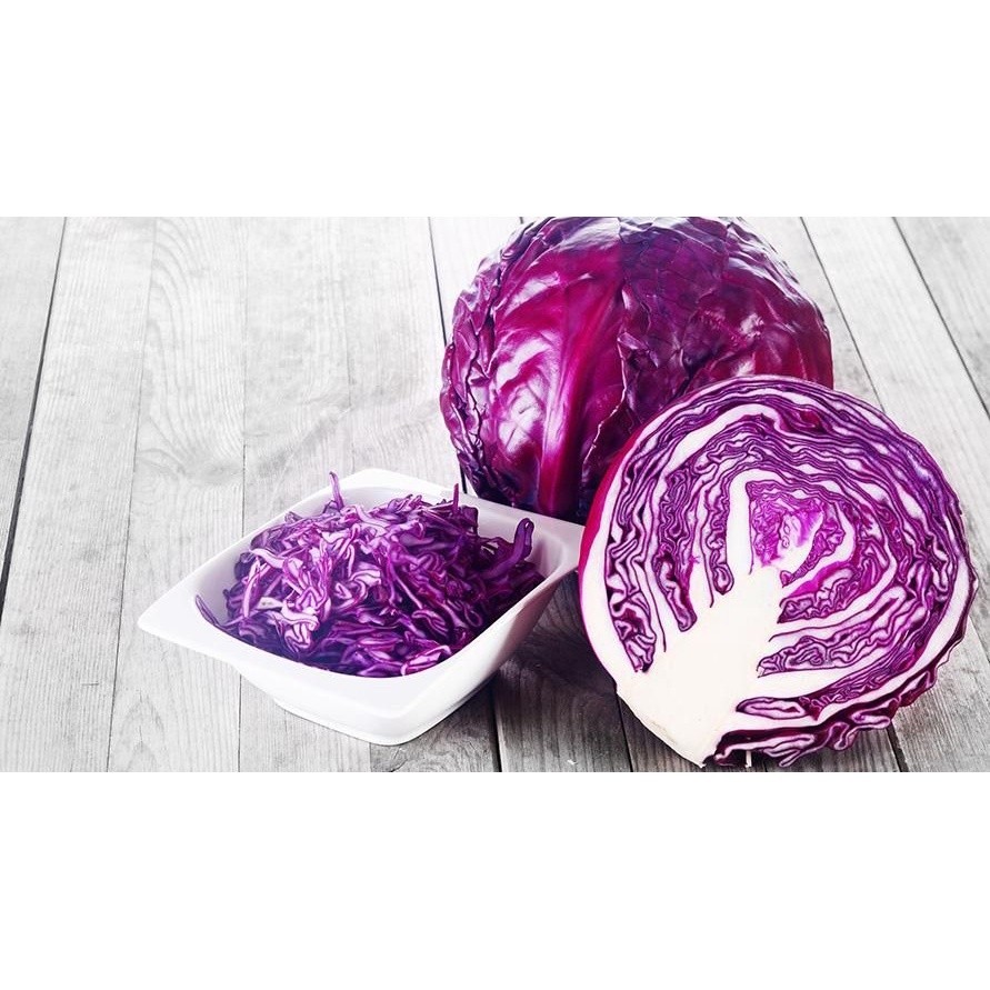

Kol Ungu per pcs Fresh 800gr - 1,2kg
