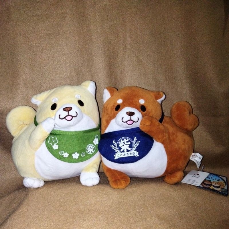 shiba sk japan (no minus)