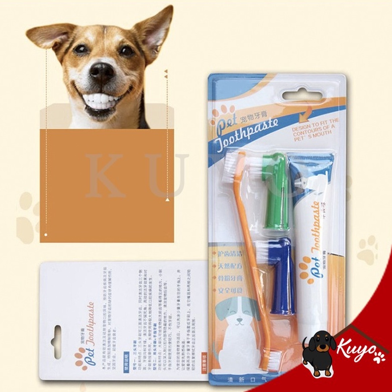 KODE D43T 4 in 1 Set Sikat Gigi dan Odol Anjing Kucing Dog Tooth Brush and Paste