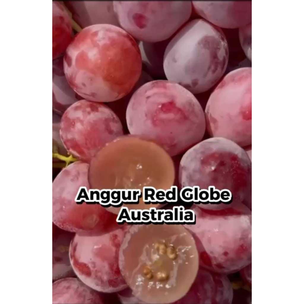 

Anggur RedGlobe Australia/GoodFarmer