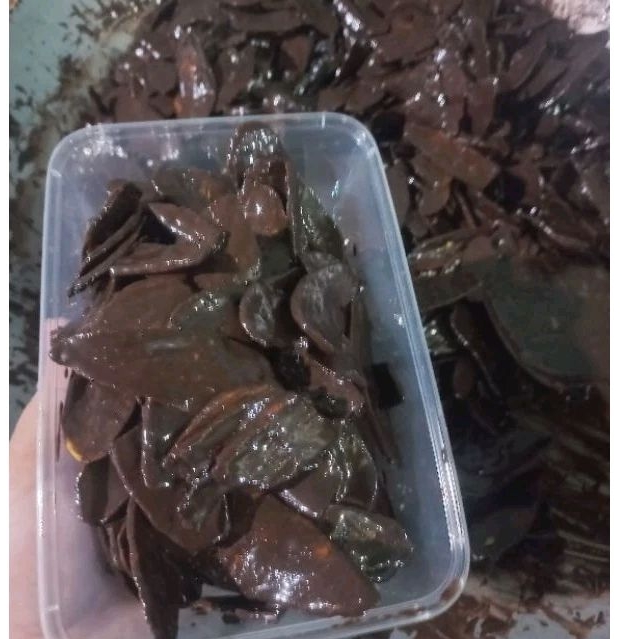 

keripik pisang coklat lumer /kripik pisang/kripik kedai Qhia