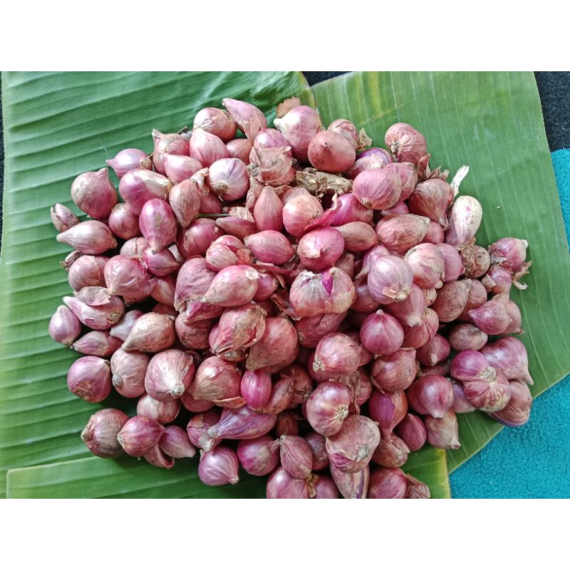 

Bawang merah premium kering asli petani lokal