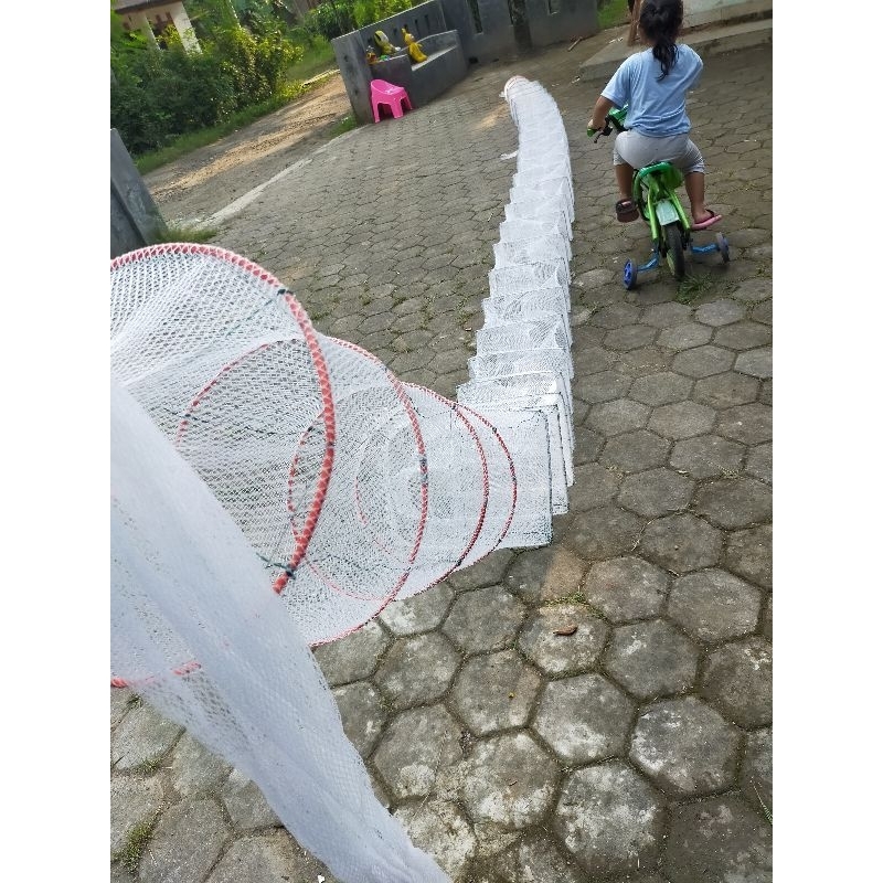 Bubu naga putih ring 4