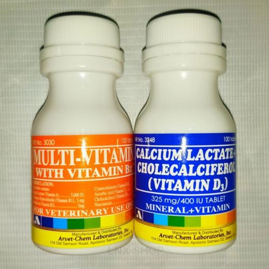 Paket Calcium Lactate dan Multivitamin Ayam untuk Otot dan Stamina Ayam