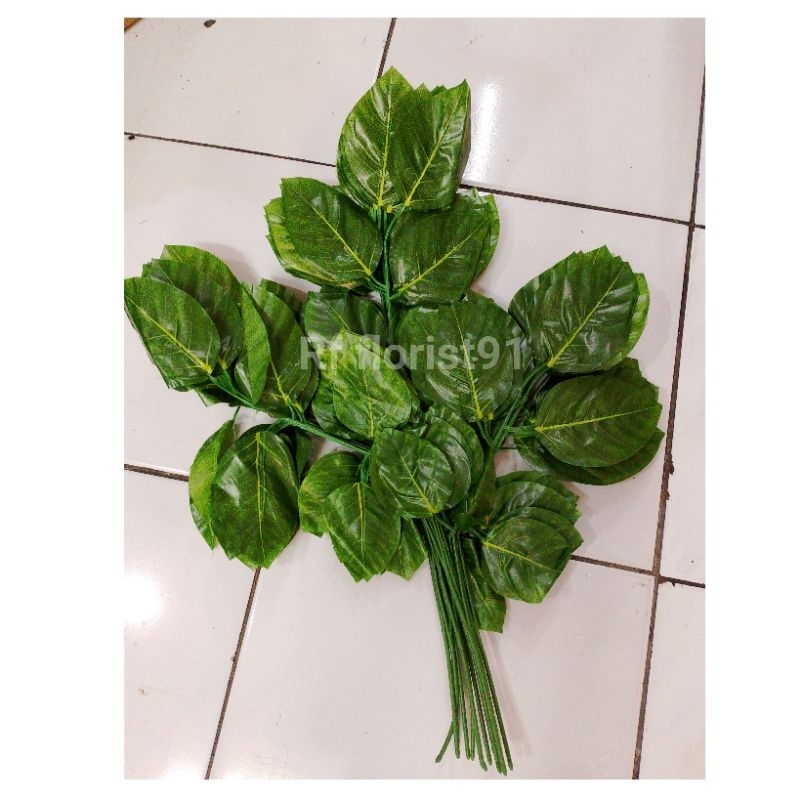 

Daun mint x12