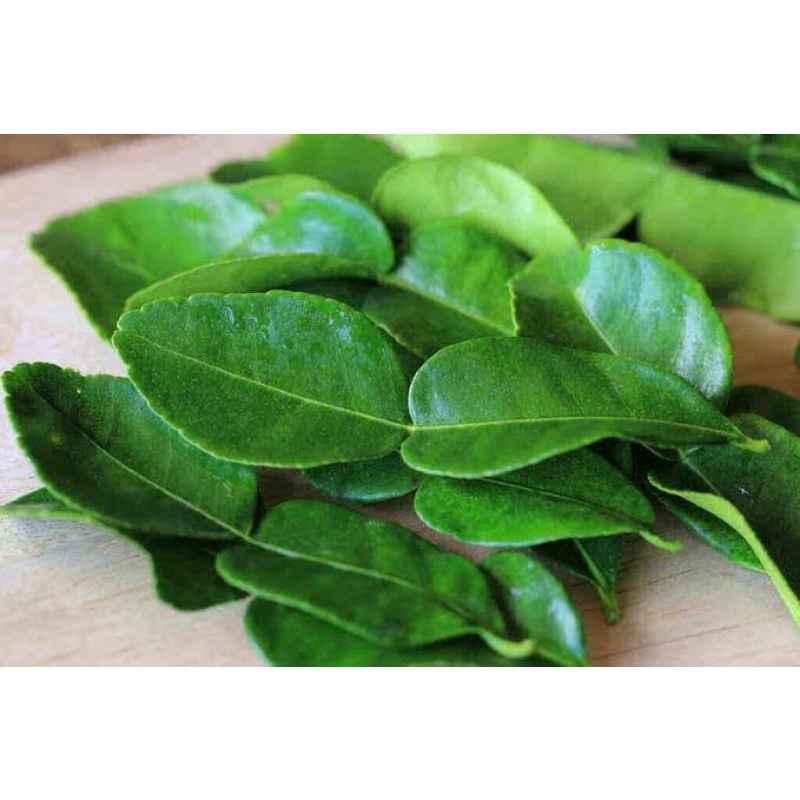 

Daun Jeruk Segar 50gram