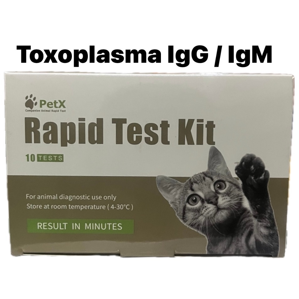 PetX Tg (Toxoplasma) IgG/IgM Antibody Rapid Test Hewan - JCA201