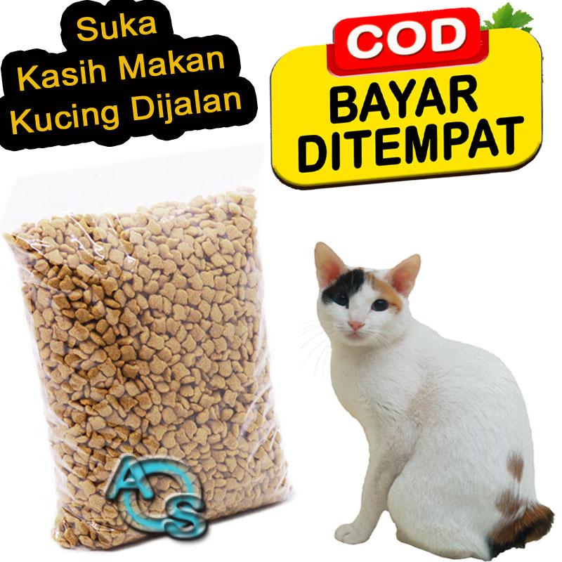 Makanan Kucing Kampung Mix Domestik 500 Gram