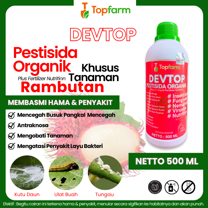 Obat Semut Hitam Dipohon Buah Rambutan / Obat Semut Paling Ampuh / Obat Semut Semprot / Obat Semut P
