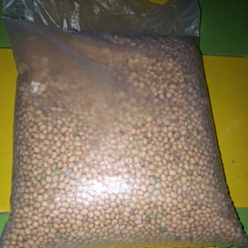 

kedelai organik lokal