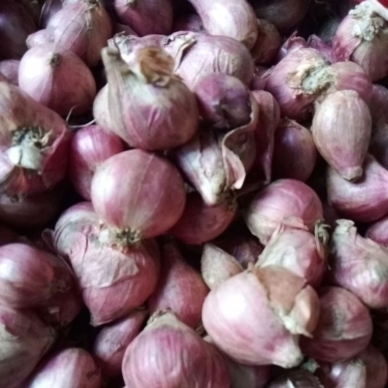 

bawang merah/bumbu masak/bawang merah super