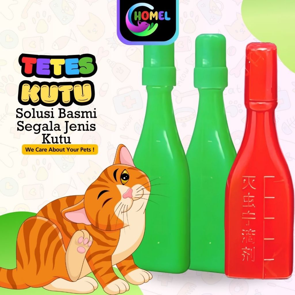 TETES POLOS ANTI KUTU TENGKUK KUCING OBAT KUTU TETES KUCING AMPUH Chomel