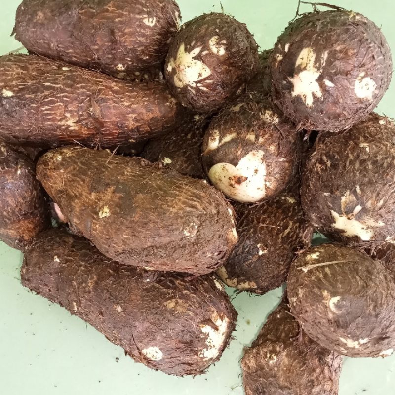 

talas lokal super pulen,kenyal,empuk,gurih,size 1kg