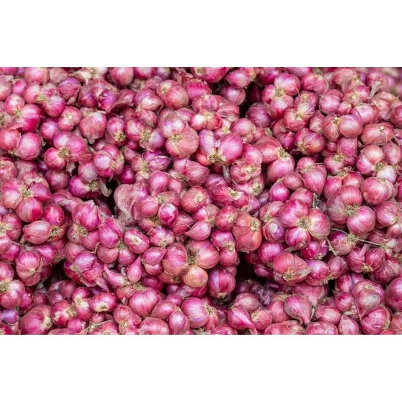 

BAWANG MERAH SUPER 1KG TERLARIS