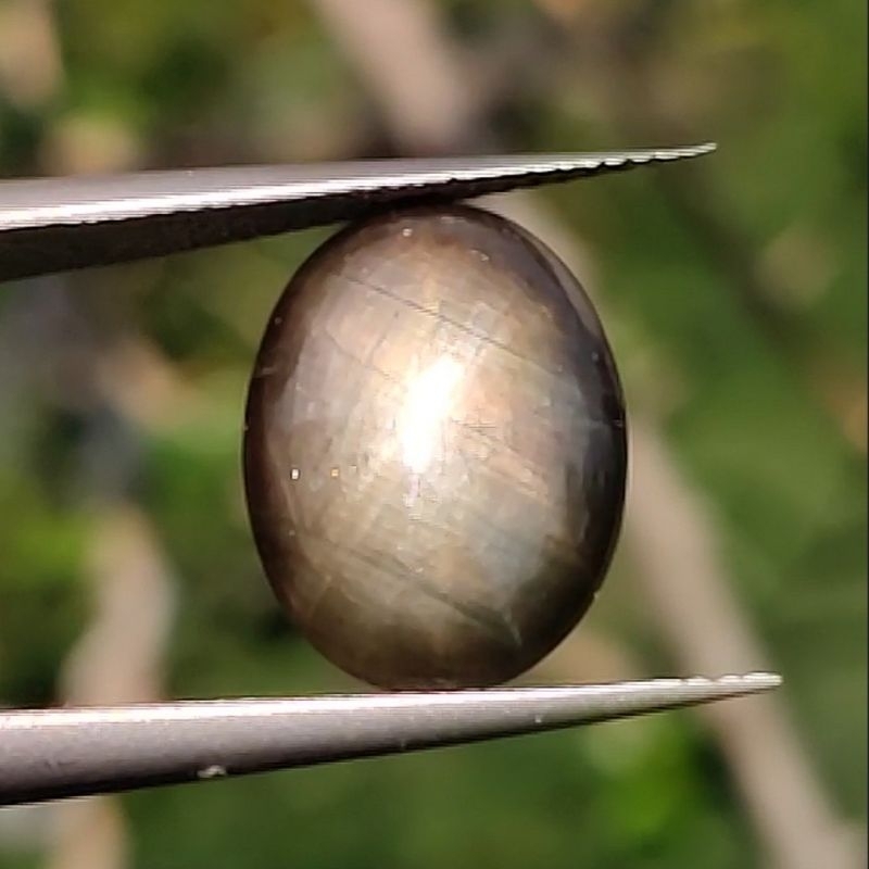 NATURAL 12 RAY BLACK STAR SAPPHIRE (Real Pict)