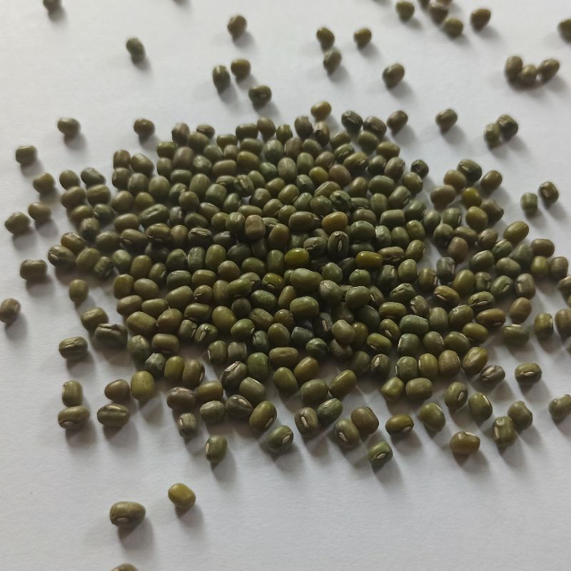 

Kacang hijau super 250 gram
