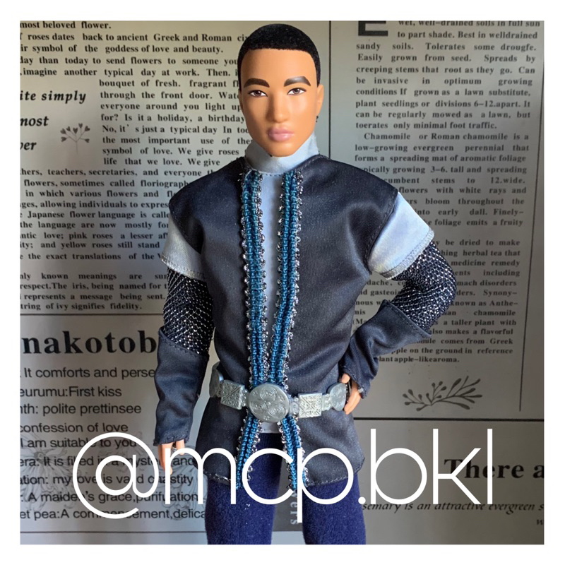 Barbie Ken Aidan Outfit Only Magic of Pegasus Preloved