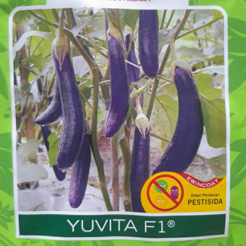 25 Butir benih terong ungu YUVITA REPACKING