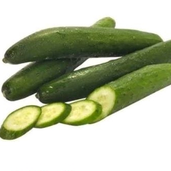 

Timun Kyuri Organik (Tanpa Pestisida)