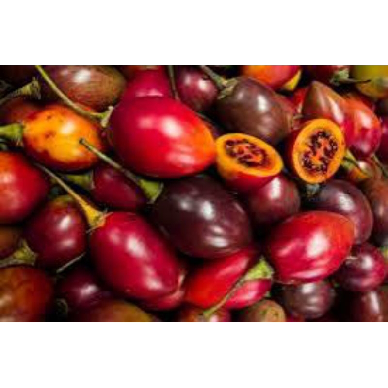 

terong belanda 500gram