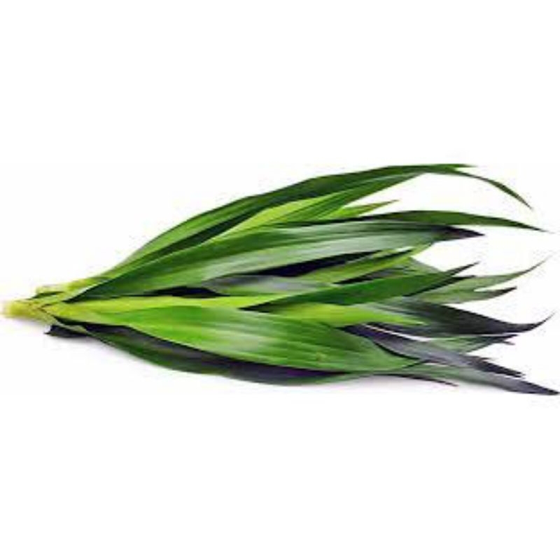 

daun suji segar/1ikat