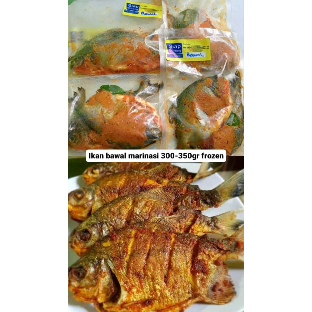 

Ikan bawal tawar marinasi 2ekor frozen siap goreng