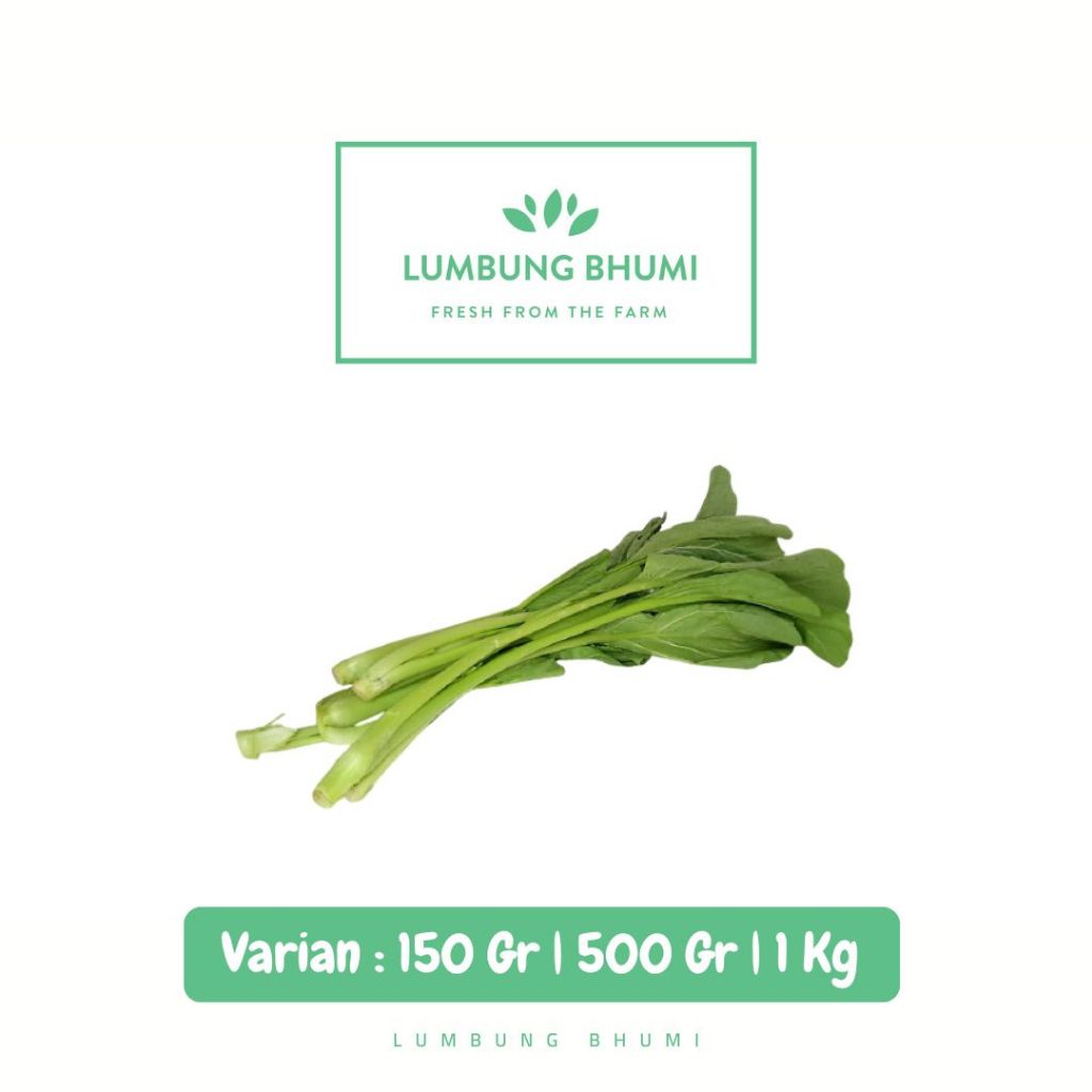

Sawi Hijau Caisim Cipanas Sayur - Lumbung Bhumi