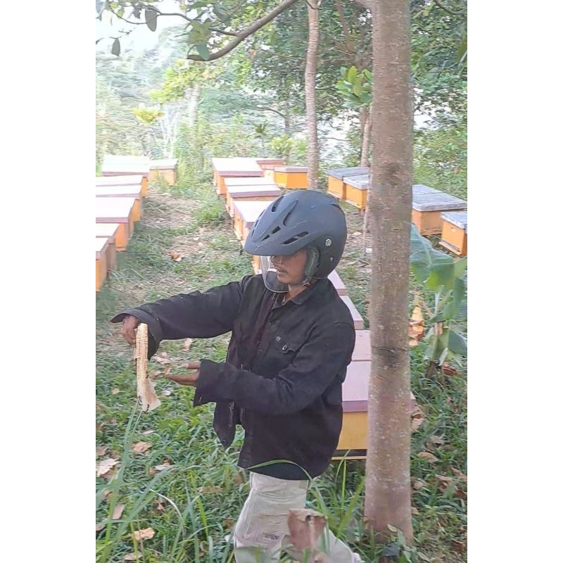 

madu murni ibrahim