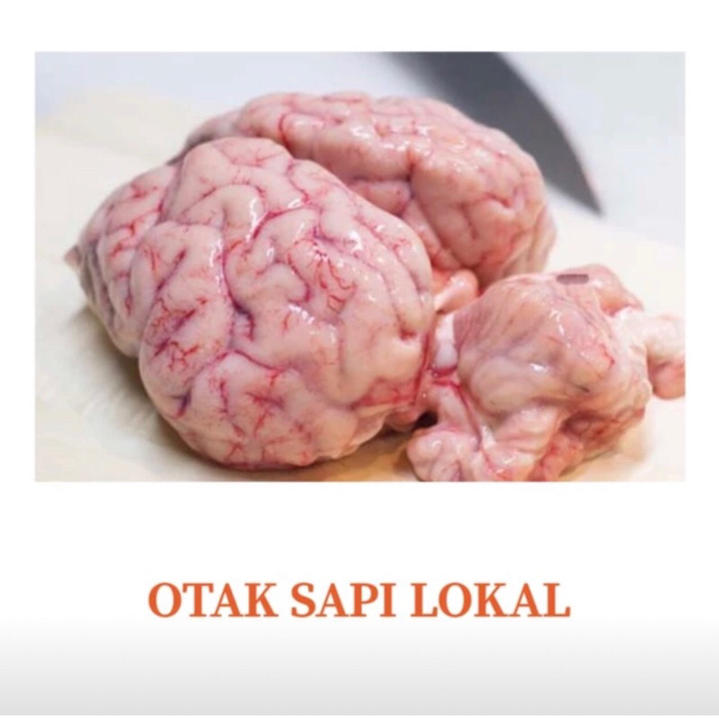 

OTAK SAPI UTUH 1 EKOR
