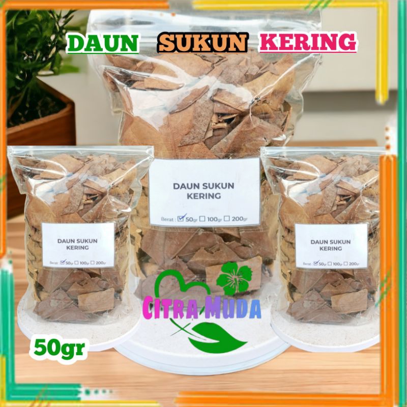 

Daun sukun Kering 50 gram Herbal alami