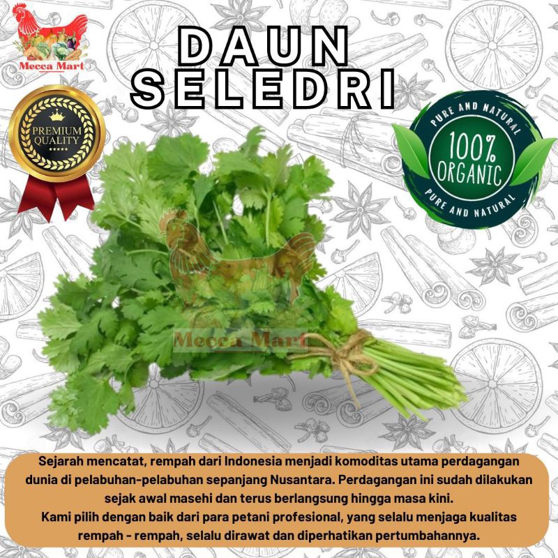 

SELEDRI PREMIUM (500gr) - REMPAH PREMIUM