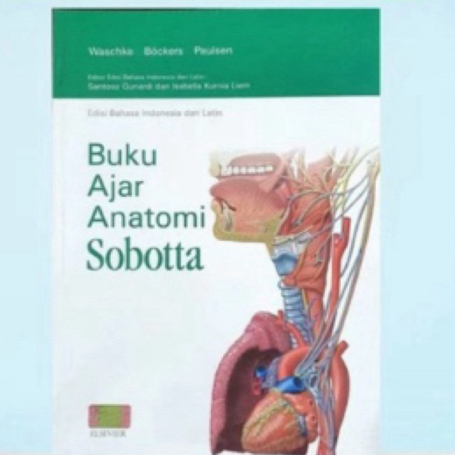 

SOBOTTA PAKET 4