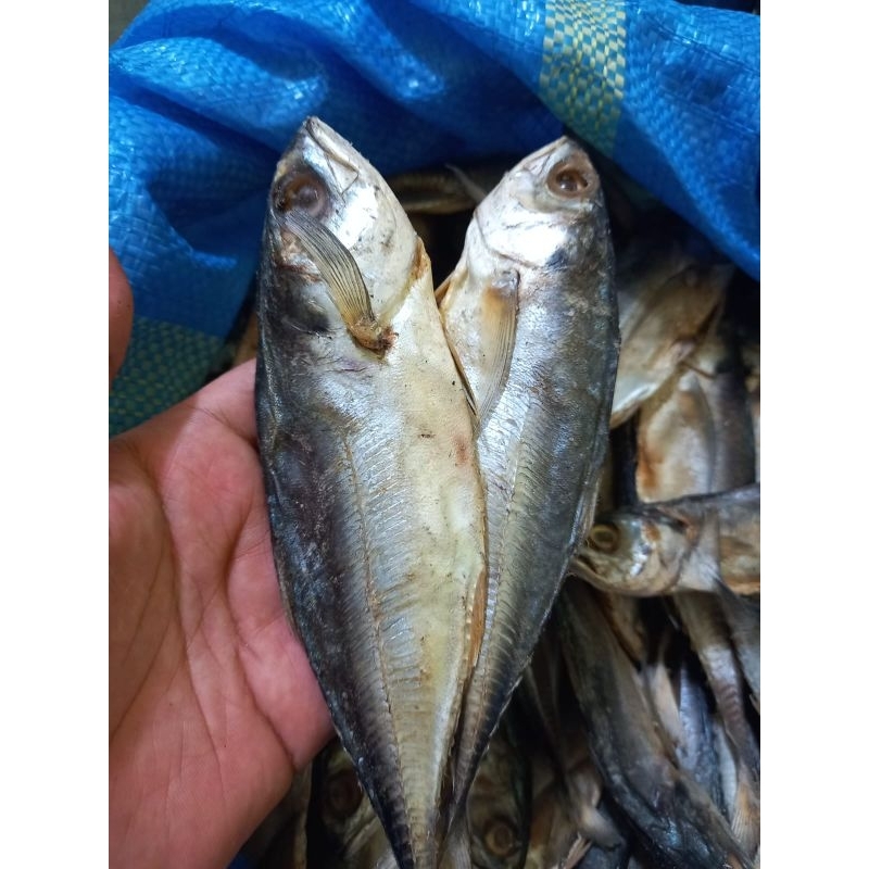 

IKAN ASIN CARU BULAT BERAT 1 KG PROMO TERBATAS