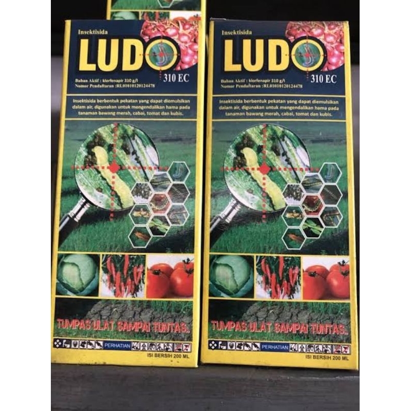 obat insektisida LUDO 200ml