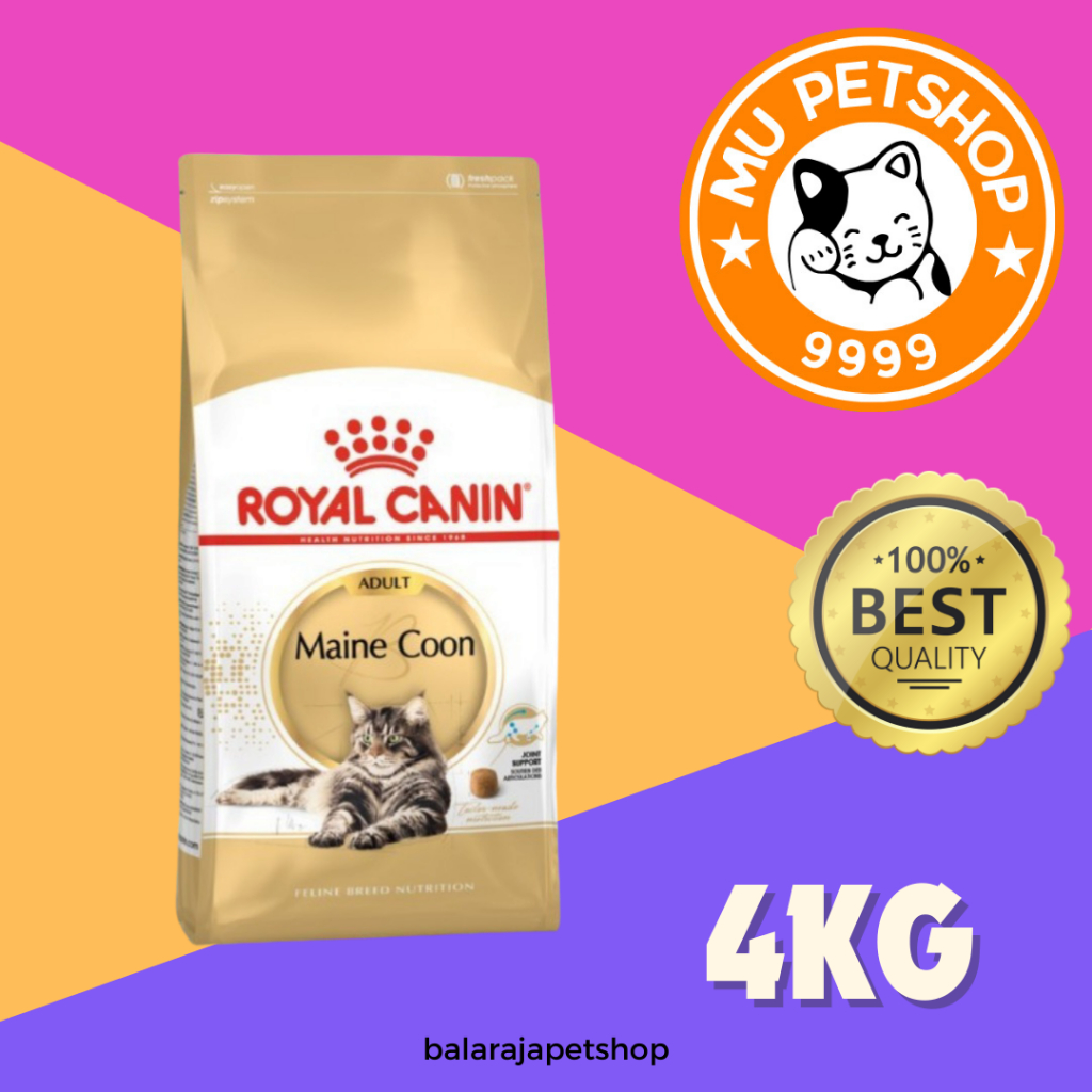 Royal Canin Maine Coon Adult 4kg