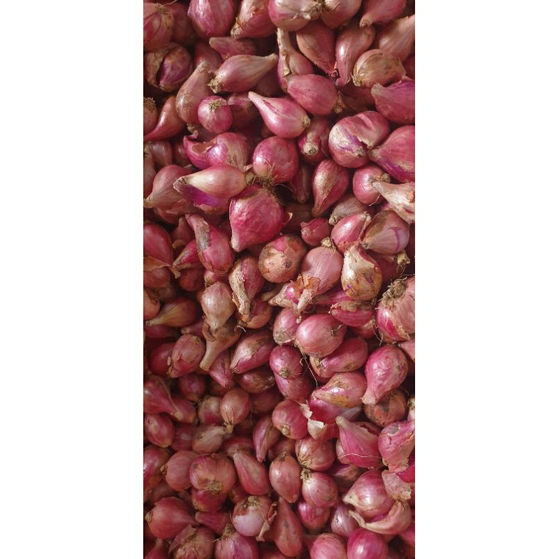 

BAWANG MERAH LANGSUNG DARI PETANI