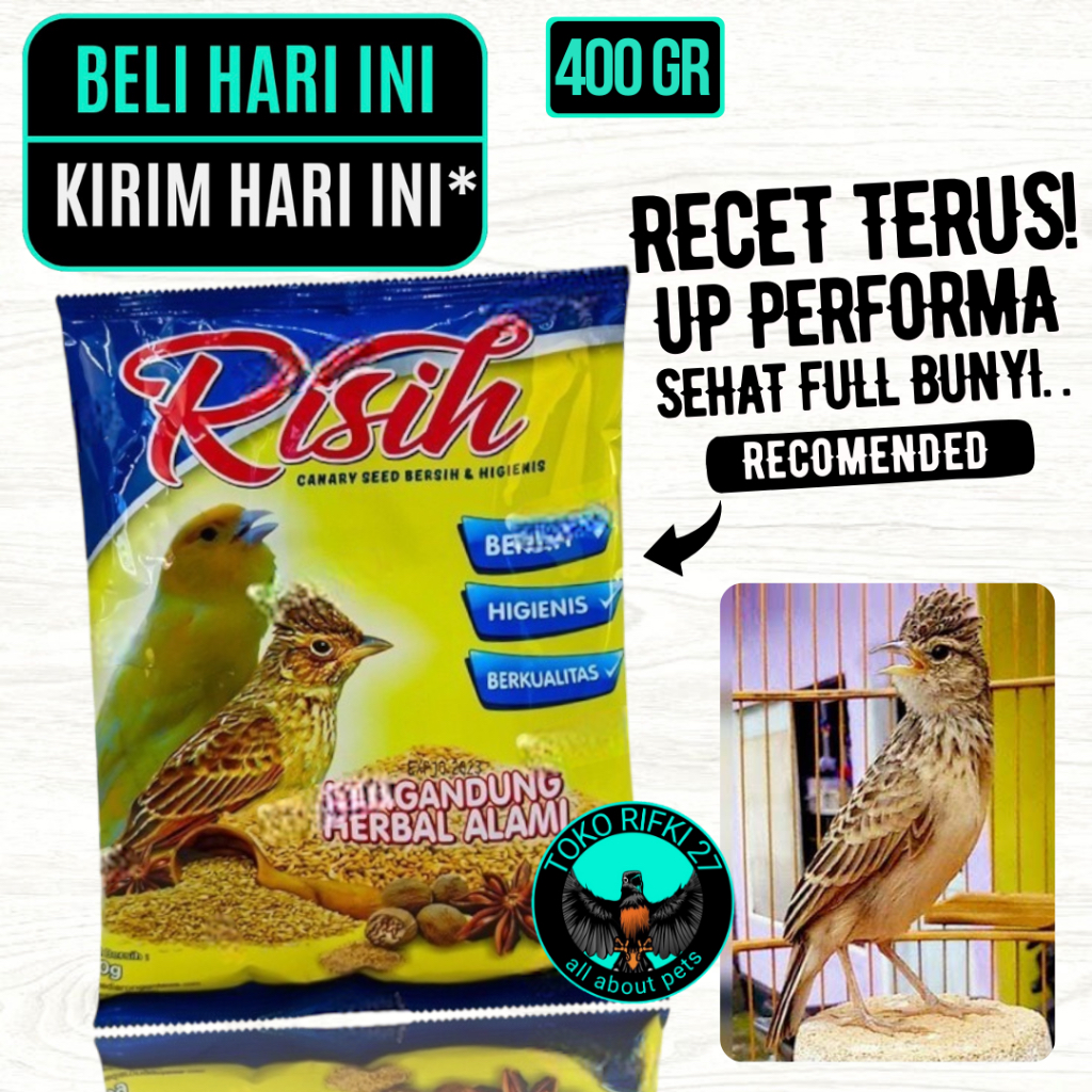 RISIH KENARI EBOD JAYA PAKAN BURUNG KENARI BRANJANGAN