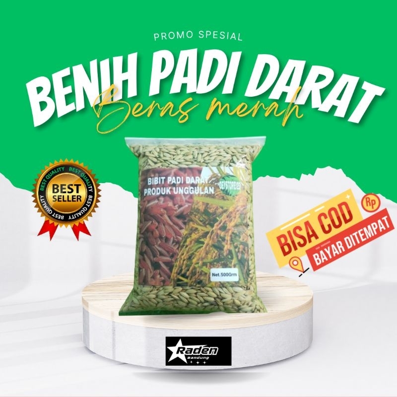 jual gabah padi darat