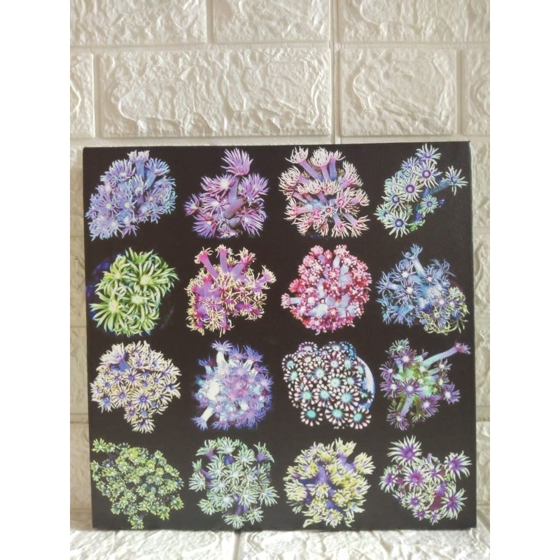 hiasan dinding coral reef tank