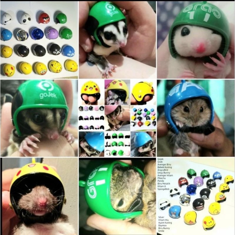 Helm Topi Mainan Hiasan Aksesoris Fashion Hewan Sugar Glider