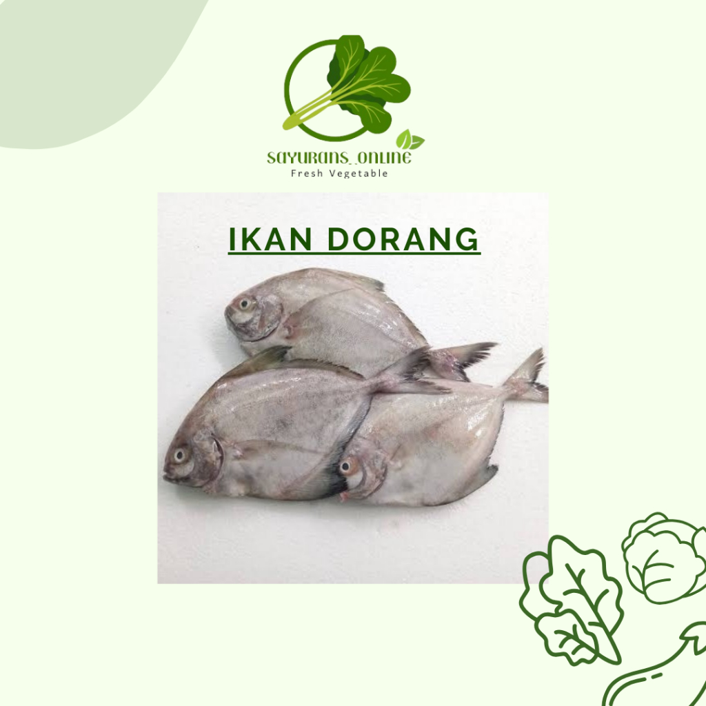 

ikan dorang fresh 1kg