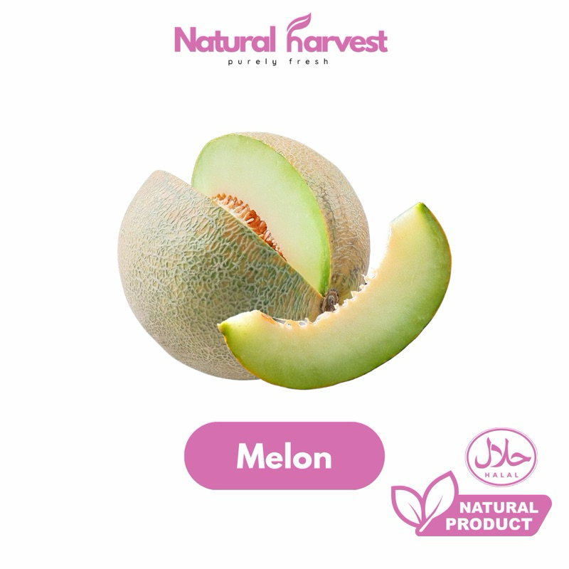 

Melon Madu Super 1 Pcs | NaturalHarvest!