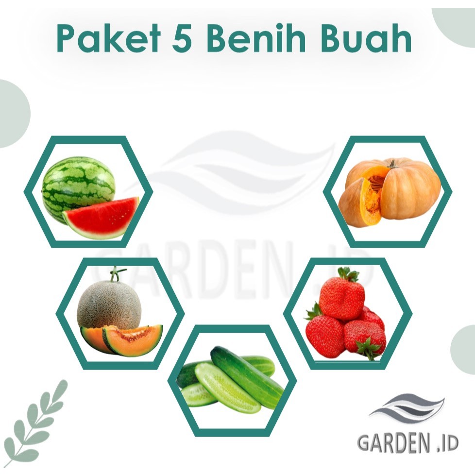 JUAL BENIH TANAMAN BUAH BIBIT SEMANGKA MELON STRAWBERRY TIMUN WALUH LABU (PAKET 5 JENIS BUAH)