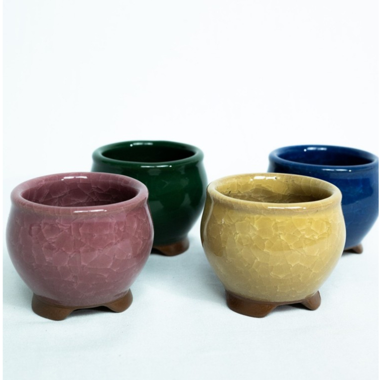 Pot Mini Pot Keramik Pot Model Bulat Berbagai Macam Warna