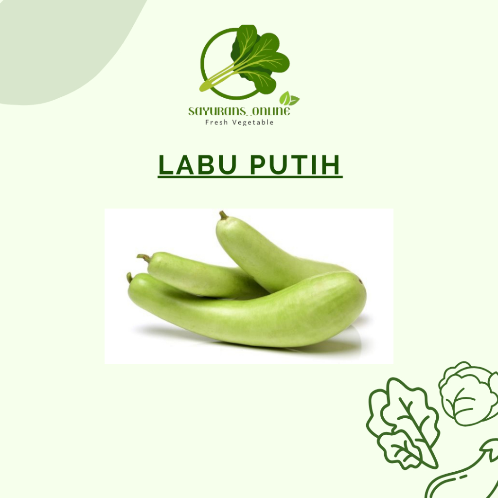 

labu putih / waluh putih